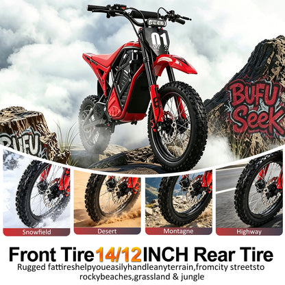 BuffSeek R01 All-Terrain Electric Adventure Bike