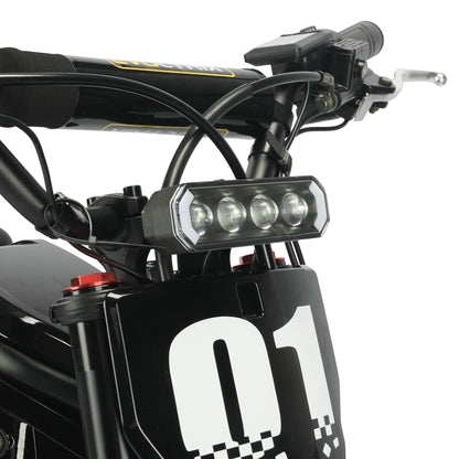 BuffSeek R01 All-Terrain Electric Adventure Bike